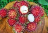 Тайская компания Viet-Ecopharm Intertrade предлагает экспорт фруктов овощей